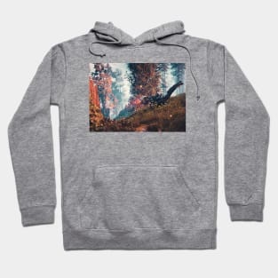 Horizon Hoodie